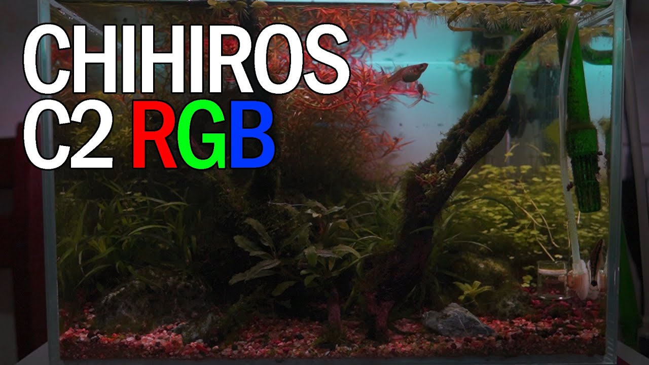 Small and stylish, but worth it? - Chihiros C2 RGB Lamp Review