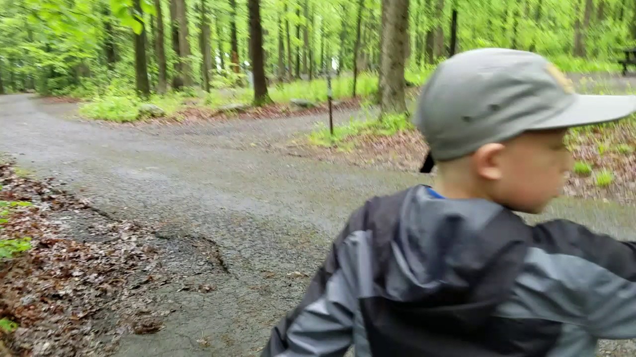 Video of Locust Lake State Park, PA from Dr. David P.