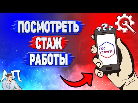 Как посмотреть стаж работы на Госуслугах?