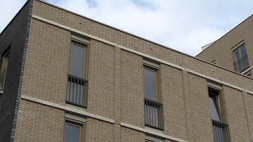 Gierzwaluw (Common Swift, Apus apus) Hessenberg IX Nijmegen