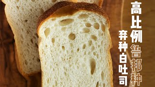 撸啊撸丨沉浸式撸包 日常消耗弃种方案 制作高比例鲁邦弃种白吐司 烘焙日常vlog