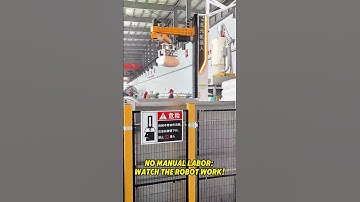 No Manual Labor Watch The Robot Work 😎 #depalletizing #automation #palletizer #robotics #palletizing
