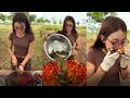 Amazing cooking yummy wash fish with tomato deep fried recipe