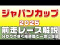【ジャパンカップ2025】参考レース解説。ジャパンカップ2025登録馬のこれまでのレースぶりを競馬初心者にも分かりやすい解説で振り返りました。