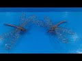 How to make a dragonfly with wire by chef PawanKumar