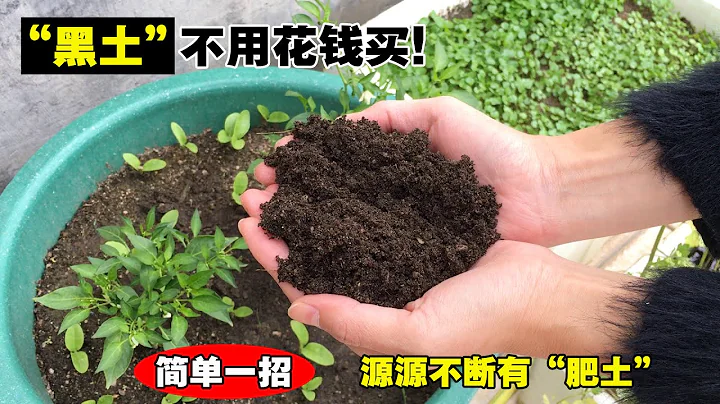 火爆全網的「養土」方法，做法非常簡單，改善土質，讓蔬果長得更健壯！|How to have fertile soil? - 天天要聞