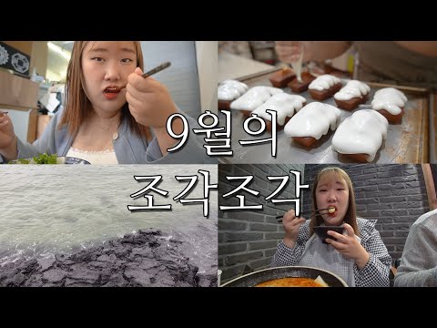 9월의 조각조각 브이로그 -VLOG