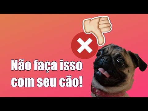 Vídeo: Escolhendo o melhor suplemento comum para um Malamute do Alasca - 6 coisas que você deve saber