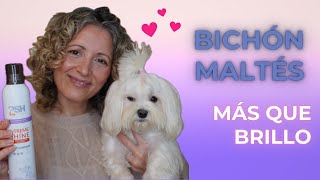 ⭐  3 PRODUCTOS EN UNO/ BRILLO, HIDRATACION Y ELASTICIDAD PARA EL MANTO DEL BICHON MALTÉS