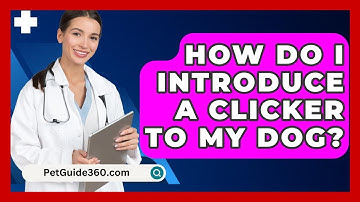 How Do I Introduce a Clicker to My Dog? - PetGuide360.com
