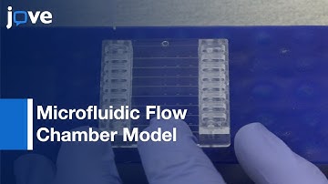 Platelet Transfusion & Hemostasis Measures Platelet Deposition & Fibrin Formation l Protocol Preview