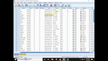 SPSS- understanding the basic setup of a preexisting data file