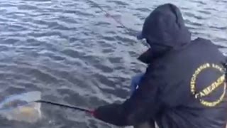 Рыбалка в Савельево 25 09 2016