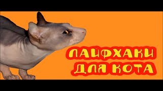 ЛАЙФХАКИ ДЛЯ КОТОВ.ЛАЙФХАК ДЛЯ КОТА.ПРО КОШЕК.ДЛЯ ХОЗЯЕВ КОШЕК.СОВЕТЫ ПРО КОТОВ И КОШЕК.КОШАТНИКАМ.