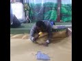 GOOFTAA IYYAA KEENYAA DHAGAA I 