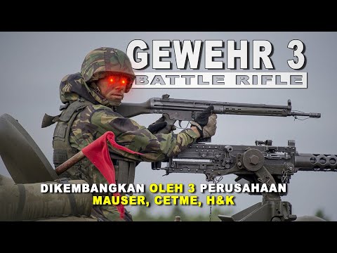 Video: Adakah heckler dan koch senjata yang bagus?