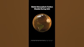 Global Atmospheric Carbon Dioxide During 2021