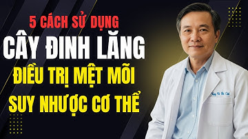 5 cách Sử Dụng Cây Đinh Lăng Để Điều Trị Mệt Mỏi, Suy Nhược Cơ Thể || Bài Thuốc Đơn Giản Dễ Làm