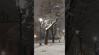 266.Латвия.рига.первый Снег -Ноябрь 2023 Года.