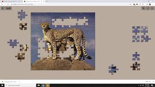 Doing jigsaw puzzles for fun 2