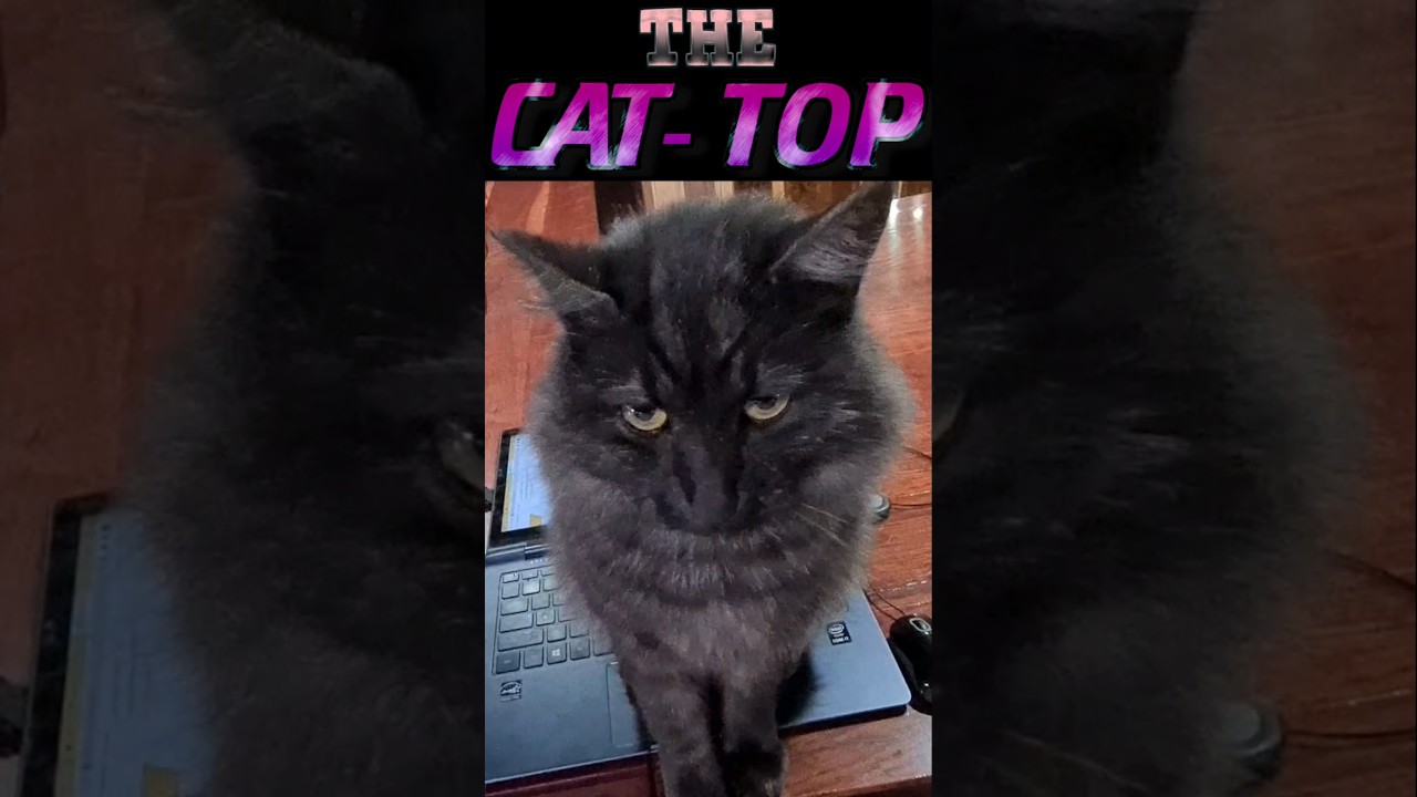 Latest Title & Thumbnail