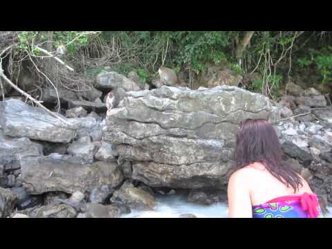 Monkeys on the Beach? Trio Travels.