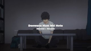 Deewane Hum Nhi Hote (Slowed + Reverb) | Lofi Song | Song Santanu