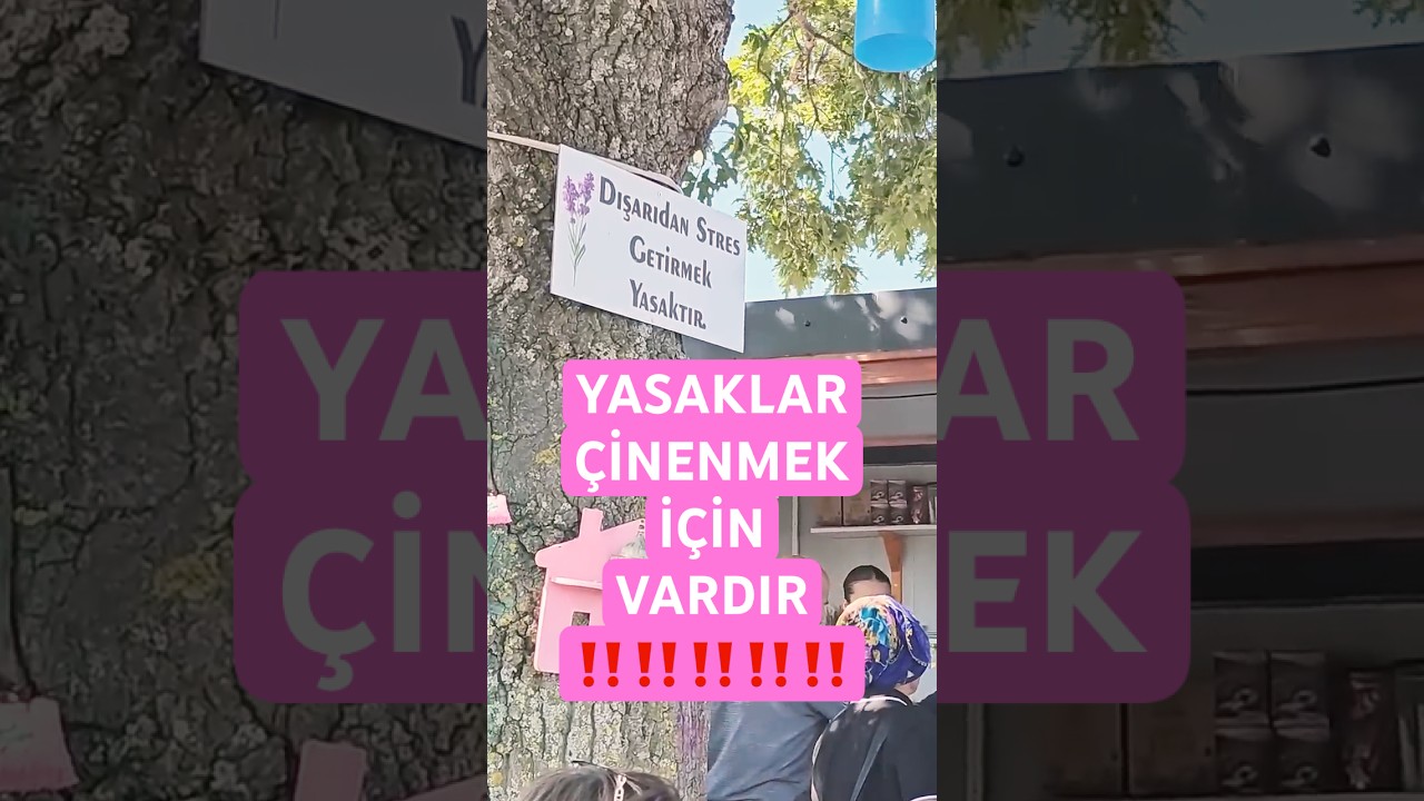 Lavanta Bahçesinde Tatlı Bir "Stres" Kaynağı! Ece'nin İç Sesi 🥰 #shorts