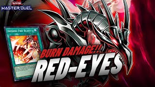 RED-EYES! - RED-EYES BURN DECK! INFERNO FIRE BLAST ! / RANKED GAMEPLAY [Yu-Gi-Oh! Master Duel]