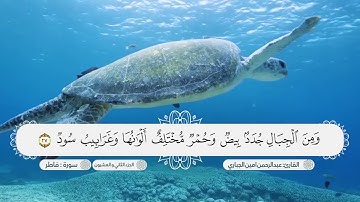 سورة فاطر بصوت القارئ عبدالرحمن امين الجباري