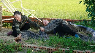Download Lagu How to Catch Giant Pythons with Traditional Bamboo Cage Traps | Brave Girl Rescues Farm Animals! MP3 Download Lagu How to Catch Giant Pythons with Traditional Bamboo Cage Traps | Brave Girl Rescues Farm Animals! MP3