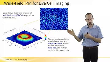 Interferometric Phase Microscopy IPM for Live Cell Imaging