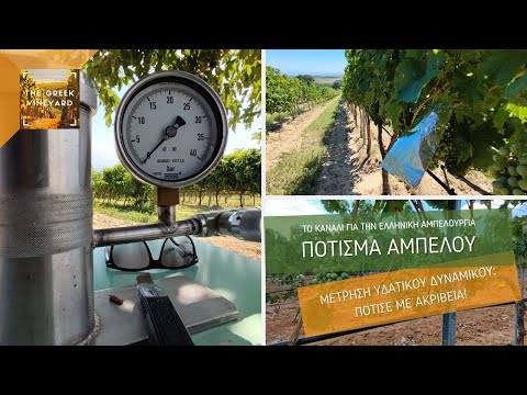 Βίντεο: Δικος μου! Ο Seagull κλέβει το GoPro & πετάει μακριά με εκπληκτικό footage