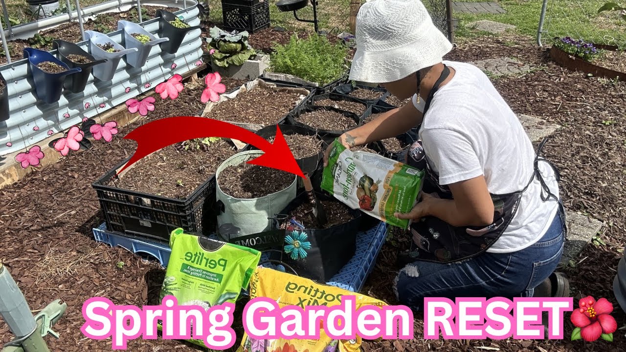 Amending Grow Bag Soil + Planting Squash, Zucchini & Cucumbers 