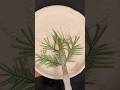 How to make aesthetic plate part 2 #diy