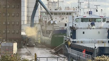 101125 El Nogaro not 123mtrs 🤪🤪🤪 #sharpness #freighter #shipping #docklife