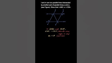 l and m are two parallel lines intersected by another pair of .., Class 9, Mathematics, Ex.7.1, Q.4