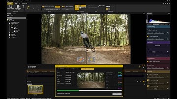 proDAD Mercalli V6 Trailer english