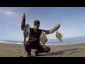 How to catch big redtail surf perch - Oregon surf fishing