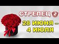 ♐ СТРЕЛЕЦ. 😊 С 28 ИЮНЯ по 4 ИЮЛЯ. Таро-прогноз.