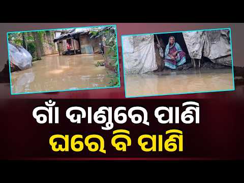 ସୁବର୍ଣ୍ଣରେଖାରେ ପ୍ରଳୟଙ୍କରୀ ବନ୍ୟା, ପାଣି ଘେରରେ ବଢ଼ାପାଳ ଗାଁ | Knews Odisha