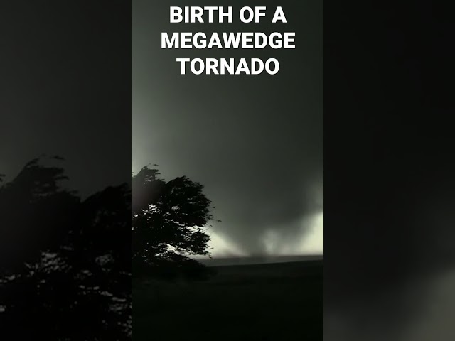 Birth of the El Reno, OK megawedge, the widest tornado in recorded history