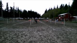 Horseback Riding - Whidbey Island WWGA - Poles - Logan and Zach - 4/6/14 by Eric Troili AirWreck 117 views 10 years ago 51 seconds