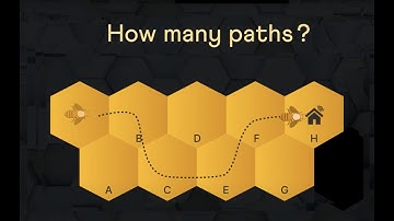 Fibonacci and Bees? 🐝