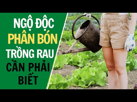 Video: Bạn Có Nên Sử Dụng Phân Mới Trong Vườn: Bón Phân Với Phân Tươi Có An Toàn Không