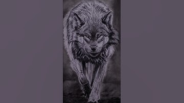 Wolf Drawing Tutorial | Realistic Pencil Sketch Step by Step for Beginners