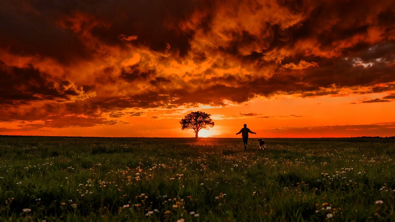 You’re Tired… It’s Okay to Rest Now