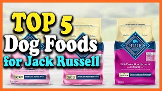 ✅Top 5 Best Dog Foods for Jack Russell Reviews 2022