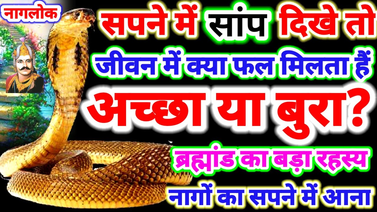 सपने में सांप दिखे तो क्या समझे क़िस्मत चमकेंगी या बुरा वक्त आयेगा,बड़ा रहस्य ||Meaning of Snake Dream