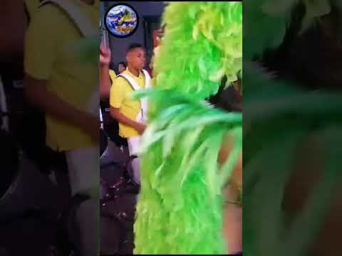 في هولندا  احتفالات السورينام